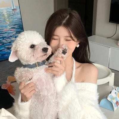 鞋猫剑客